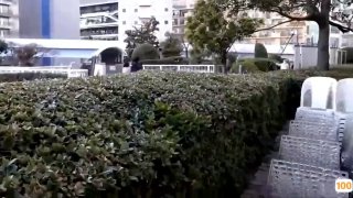 不知各位看没看过一个国产极品视频- 高清在线观看